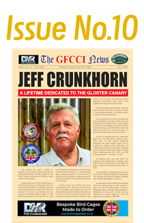 GFCCI News Tmb10