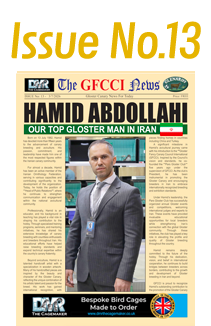 GFCCI News Tmb13