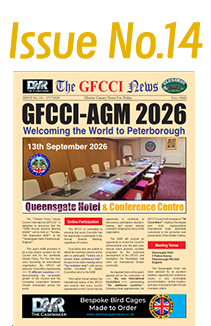 GFCCI News Tmb14