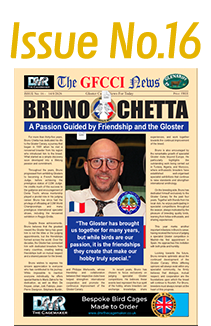 GFCCI News Tmb16