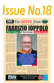 GFCCI News Tmb18