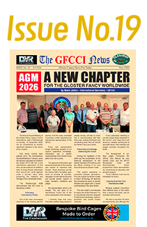 GFCCI News Tmb19