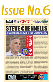 GFCCI News Tmb6