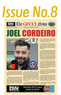 GFCCI News Tmb8