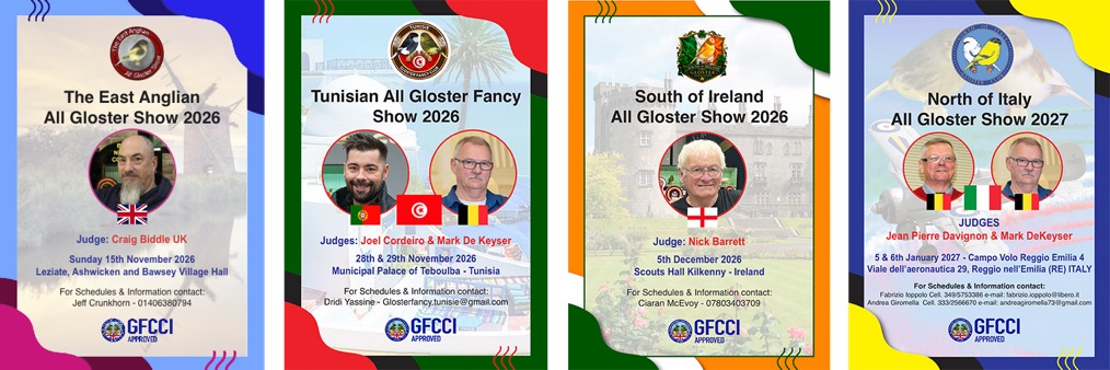 GFCCI Approved All Gloster Shows