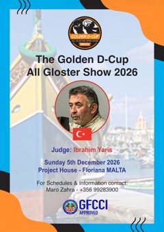 The Golden D-Cup All Gloster Show